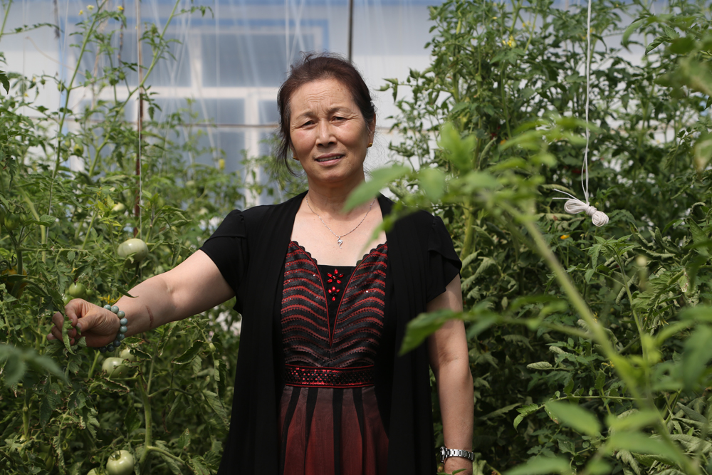 鸿运国际·(中国)集团-鸿运官网接待你